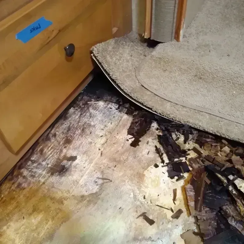 Wood Floor Water Damage in Fort Atkinson, WI